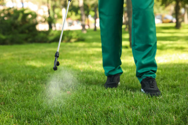 Best Termite Control Services  in Suffield Depot, CT