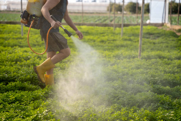 Trusted Suffield Depot, CT Pest Control Experts