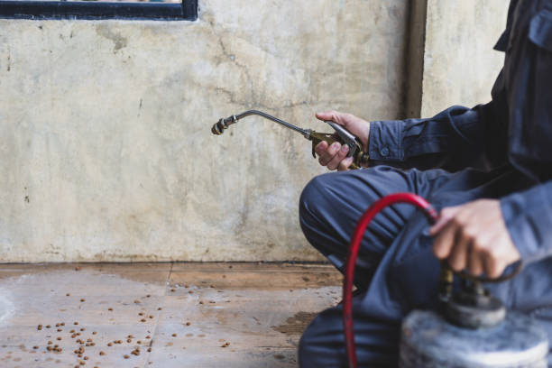 Best Pest Removal Services  in Suffield Depot, CT
