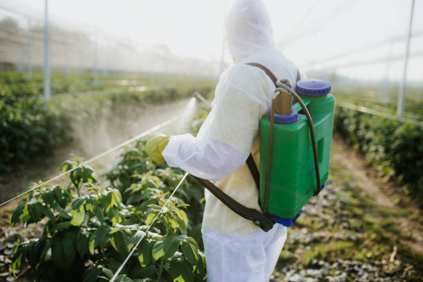 Best Local Pest Control Services  in Suffield Depot, CT